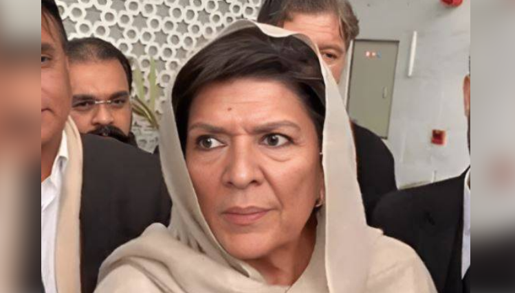 PTI founder's sons have applied for NICOP and visa, says Aleema Khan