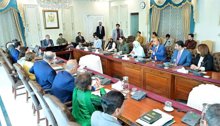 PM Shehbaz calls for national policy to address rapid population growth
