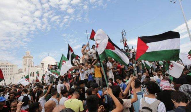 Hamas calls for 'Day of Rage' against planned and illegal Israeli settlements