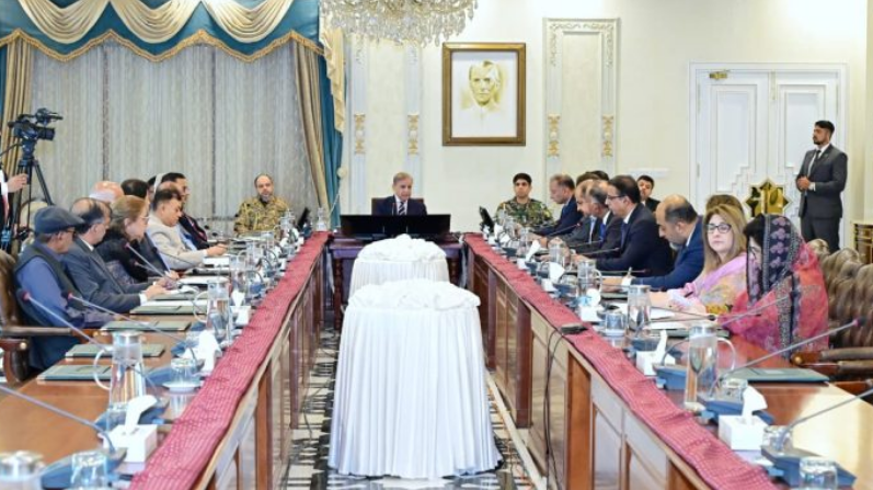 PM Shehbaz vows federal govt's full support for flood victims in KP, GB and AJK