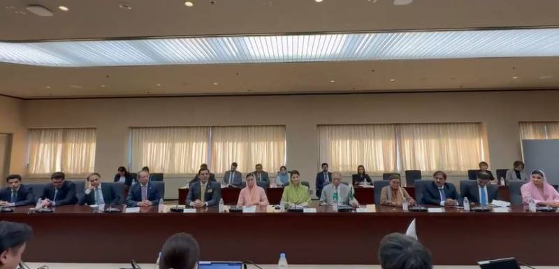 CM Maryam invites Japanese firms to invest in Punjab’s SEZs