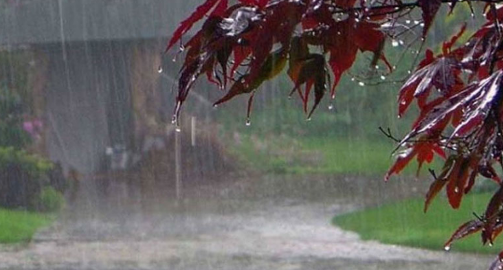 PMD forecasts widespread rains in several part, warns of landslides and urban floodi