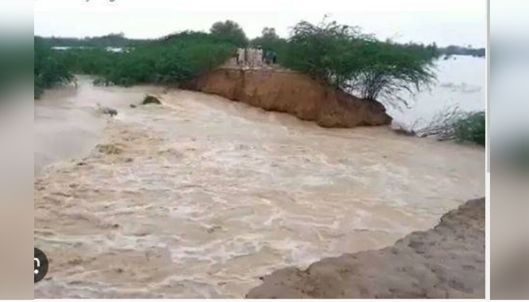 PDMA warns of high flood in Chenab, Ravi and Sutlej in 48 hours