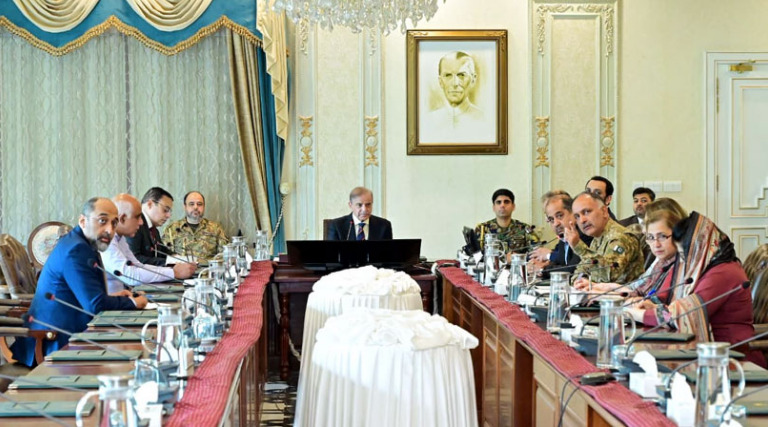 PM Shehbaz orders immediate measures as Punjab rivers face high flood risks 