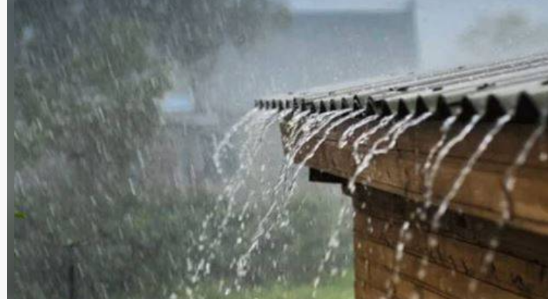 Punjab PDMA issues alert for 10th monsoon spell, predicts heavy rains in several districts 