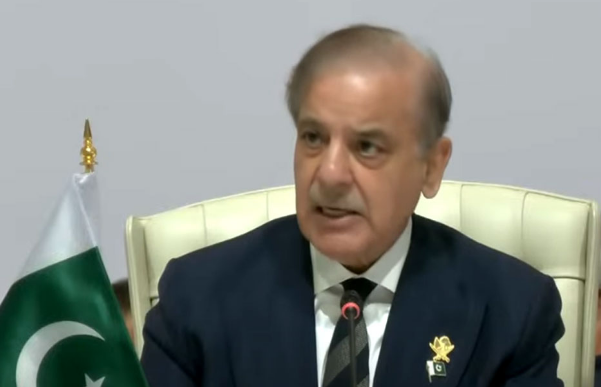 Pakistan calls for creation of Arab-Islamic task force to counter Israel's expansionist designs