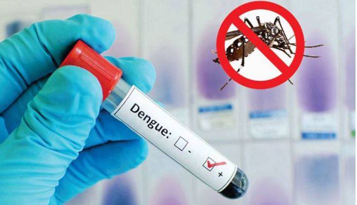 Dengue situation in Rawalpindi alarming as patients' number rises to over 800