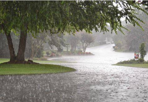 Heavy stormy rainfall expected in Punjab’s upper regions: PDMA 