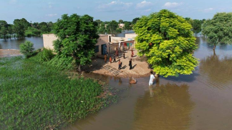 Punjab unveils largest flood survey, data of 81,510 victims compiled