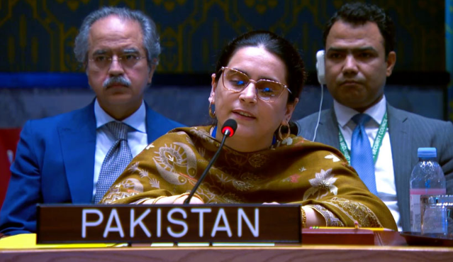 At UN, Pakistan highlights plight of women in IIOJK & Palestine
