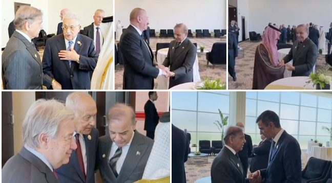 PM Shehbaz reaffirms Pakistan's unwavering solidarity with Palestinian people 