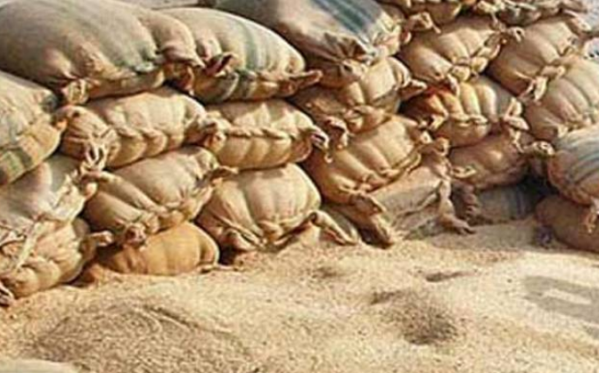 Federal govt announces Wheat Policy 2025-26, fixes support price at Rs3,500 per 40kg