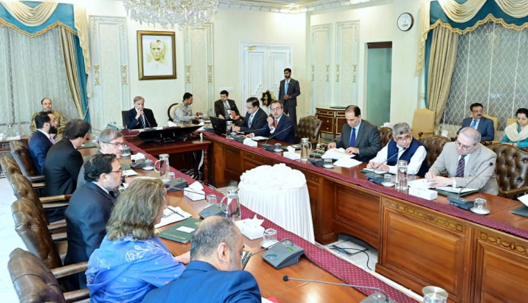 PM Shehbaz directs Power Division to enhance domestic industrial production