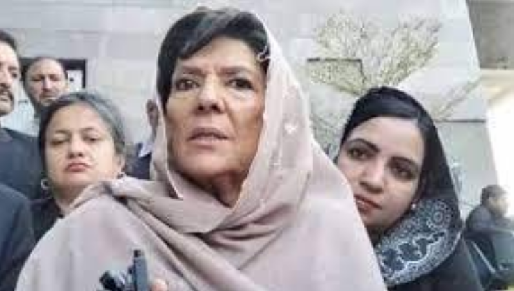Aleema Khan's CNIC and passport blocked, court reissues her arrest warrants