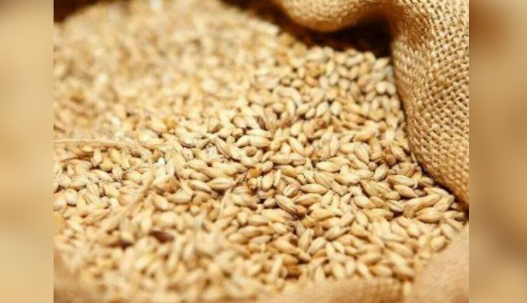 Punjab extends ban on use of wheat in poultry feed mills for next 30 days