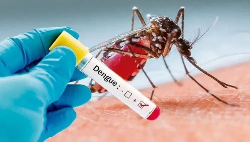Dengue cases in KP reach 5,456, Punjab intensifies action on SOP violations