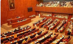 27th Amendment: Senate session underway to debate parliamentary committee's report