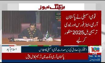 National Assembly approves changes to armed forces acts 
