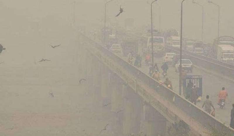  Health authority issues advisory on smog prevention and safety measures