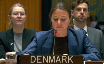 Afghan-backed TTP serious threat to Pakistan and regional stability, Denmark Warns UN