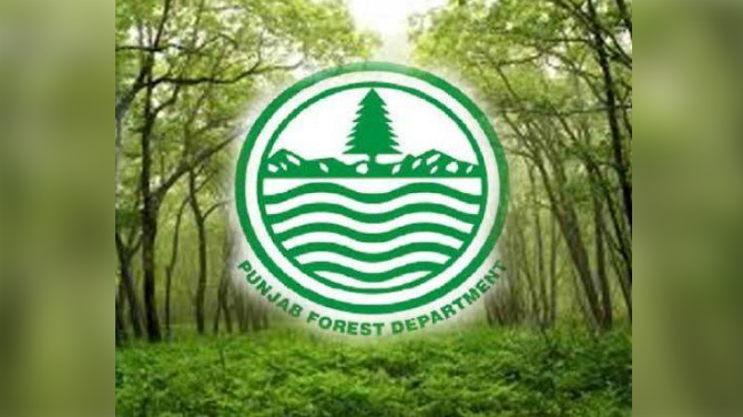 Historic step: Punjab govt enforces Forest (Amendment) Act 2025