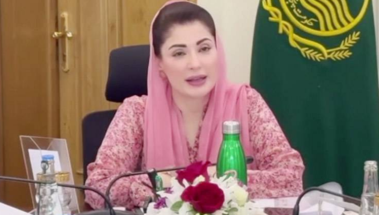 Punjab CM Maryam Nawaz highlights shrimp farming as key to export growth