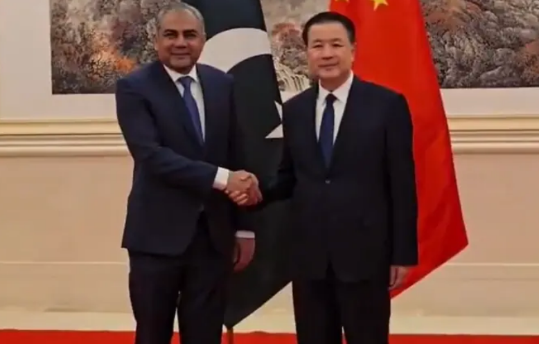 Pakistan to establish special protection unit in Islamabad for Chinese nationals' security: Naqvi