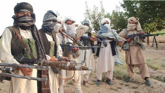 Afghanistan has become a terrorist safe haven, Eurasia Review validates Pakistan's security concerns