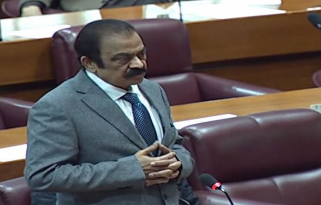 Terrorists are enemies of Pakistan, not 'angry elements': Rana Sanullah tells Senate 