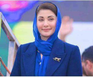 Punjab CM appeals to sellers to avoid overpricing kites and strings on Basant