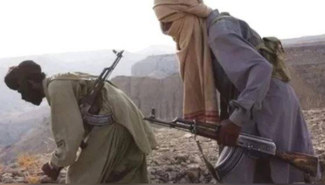 American defense analyst labels BLA a sophisticated terror network, not just a separatist movement