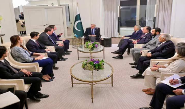 PM Shehbaz invites DFC to boost investments in Pakistan's key sectors