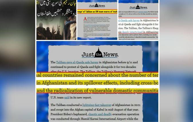 Al-Qaeda regroups in Afghanistan under Taliban, raising global security concerns