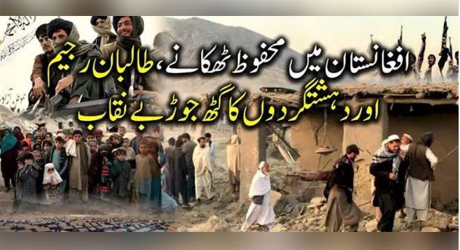 Afghan newspaper claims TTP has safe havens in Ghazni