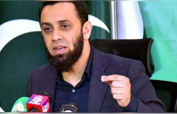 Operation Ghazab lil-Haq: 415 Afghan combatants killed, 580 injured and 182 check posts destroyed, says Tarar