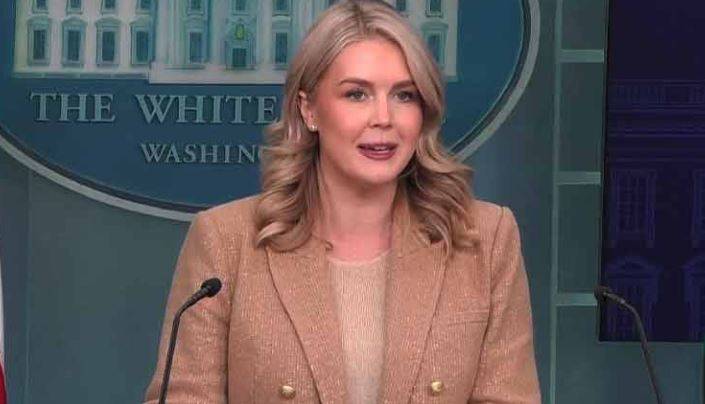 US has no plans for ground action in Iran, says White House