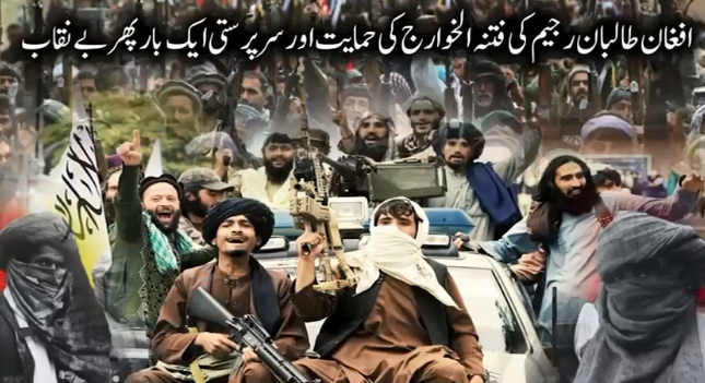 From safe havens to weapons: Afghan Taliban-TTP nexus exposed