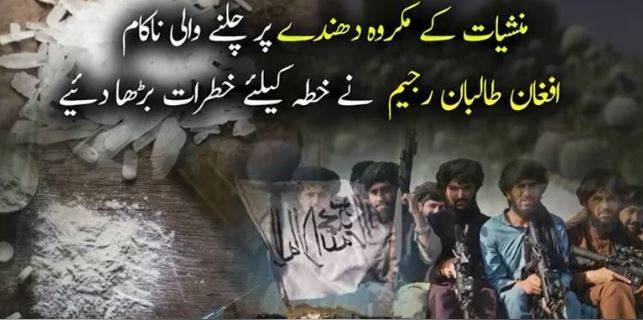 Afghan Taliban’s failed governance raises regional security concerns amid surge in drug smuggling