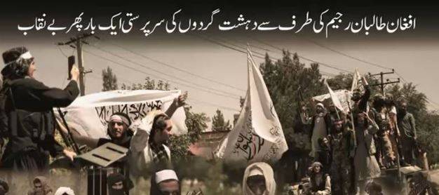 Afghan Taliban-terrorist groups nexus exposed, report says Kabul's support for terrorists poses regional security challenge