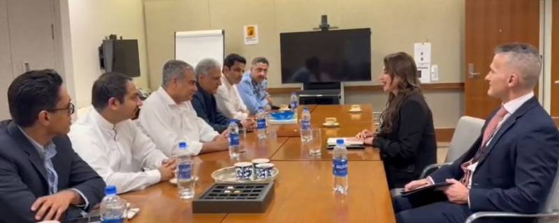 Interior Minister Naqvi, US envoy Natalie discuss bilateral ties and 'Islamabad Talks' security