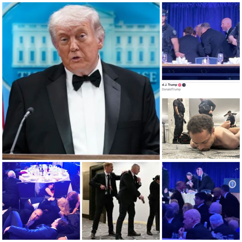 Trump safe after Gunman opens fire at White House Correspondents' Dinner, suspect detained 