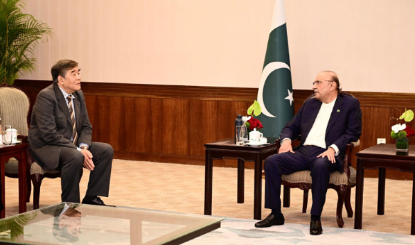 President Zardari invites greater Chinese investment in Pakistan's priority sectors