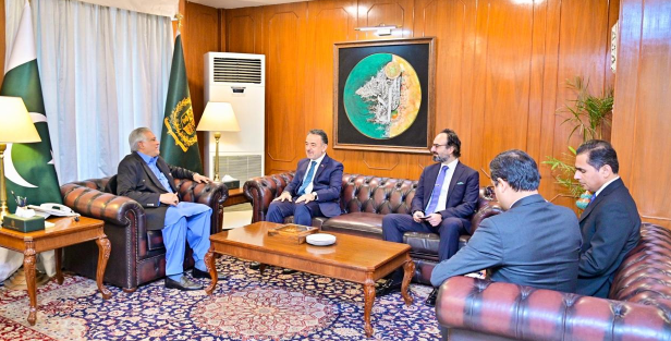 Pakistan, Türkiye reaffirm strategic partnership, pledge joint efforts for regional peace 