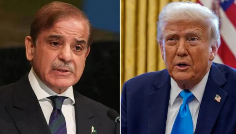 PM Shehbaz praises Trump for pausing 'Project Freedom' in Strait of Hormuz 