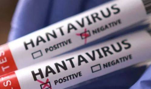 WHO issues alert for 12 countries over hantavirus spread fears