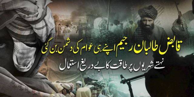 Rights groups warn of abuses by Afghan Taliban regime in guise of anti-poppy campaign
