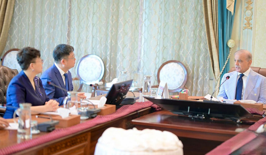 PM Shehbaz welcomes Chinese firm's plan to set up digital economy hub in Pakistan