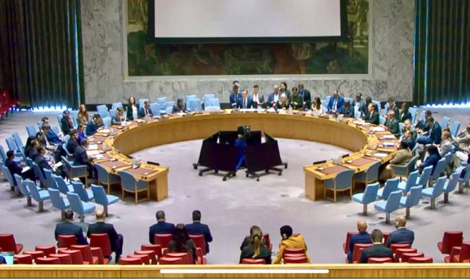 UNSC adopts Pakistan-drafted annual report by consensus