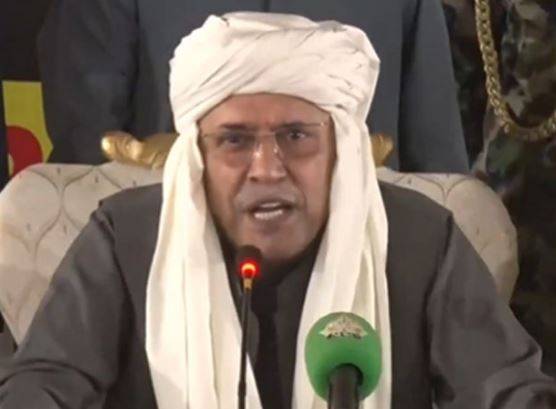 President Zardari says all institutions, including establishment, must be strengthened