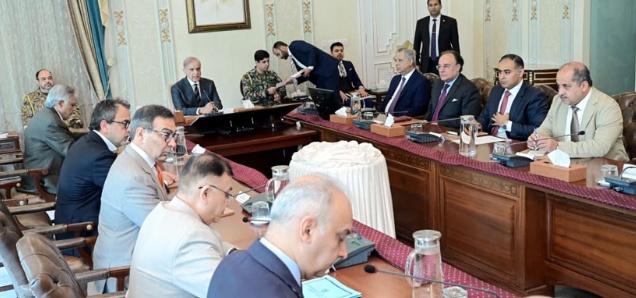 PM Shehbaz directs to accelerate privatisation process of power DISCOs